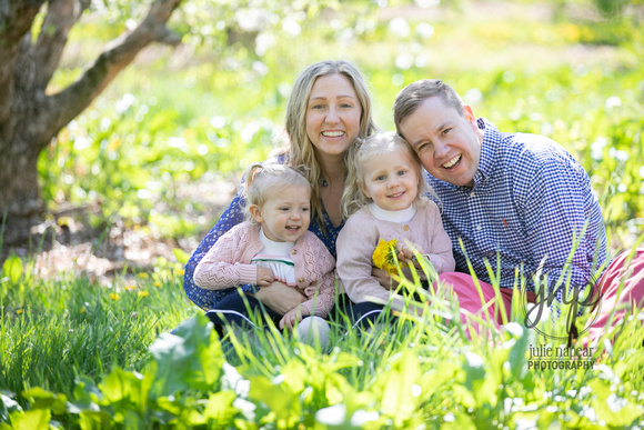0423-Oestervemb-DeWeerd-family-portraits-002-Julie-Napear-Photography-headshots