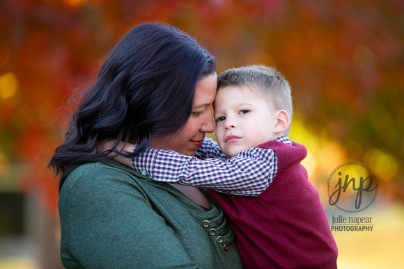 family-portraits-Winchester-010-julie-napear-photography