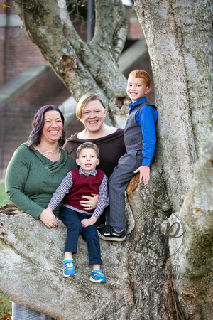 family-portraits-Winchester-141-julie-napear-photography