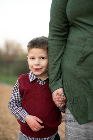 family-portraits-Winchester-251-julie-napear-photography