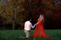 Brandon & Emily proposal